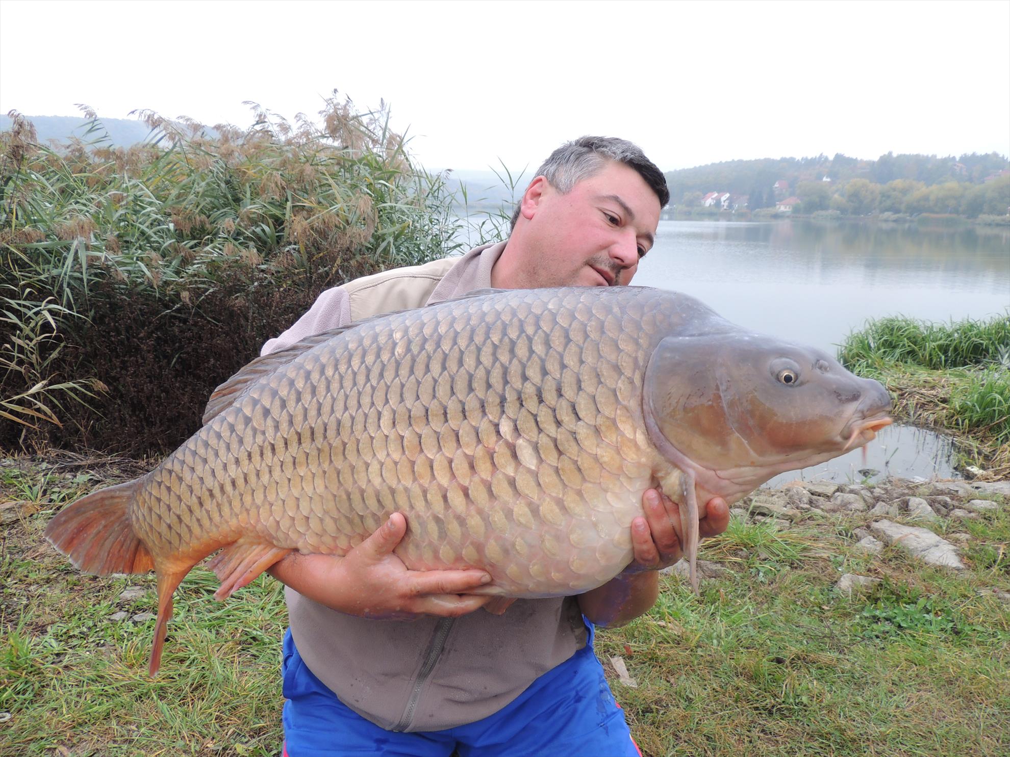 harsany 2013 - dscn0214.JPG